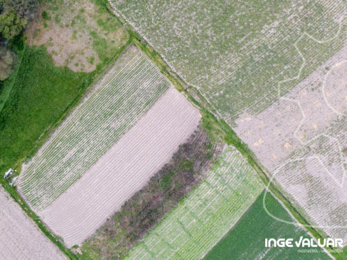 ingevaluar-ser002 ingevaluar-ser002